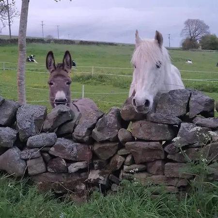Casa de Férias Pinnacle
